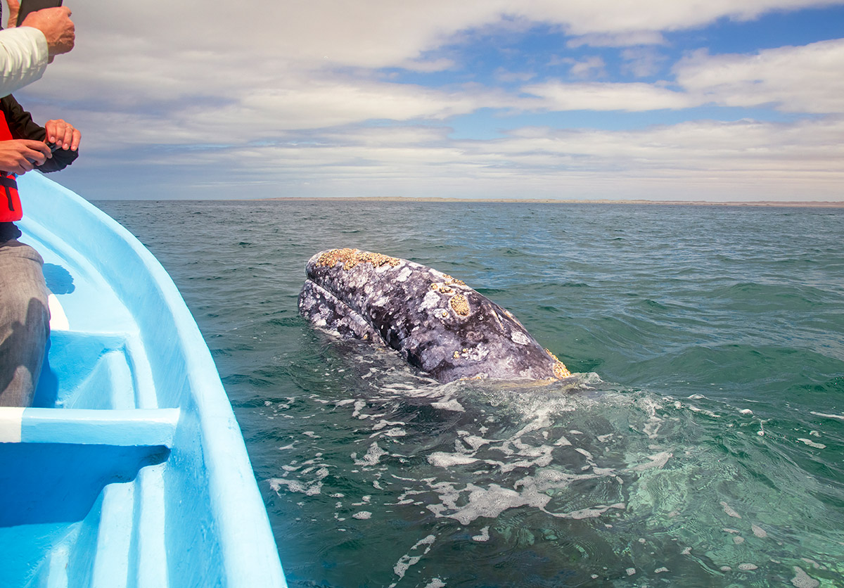 Baja California Sur, Mexico.
