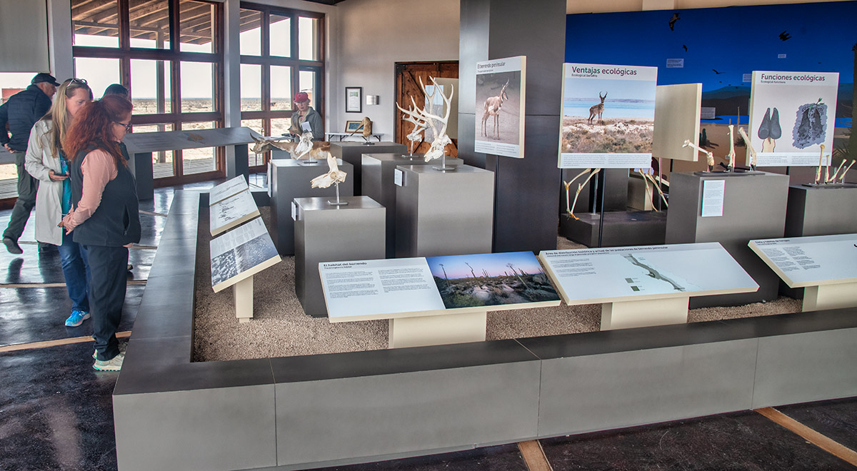 Pronghorn Visitor Centre near Guerrero Negro, Mexico