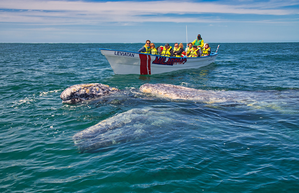 Baja California Sur, Mexico.