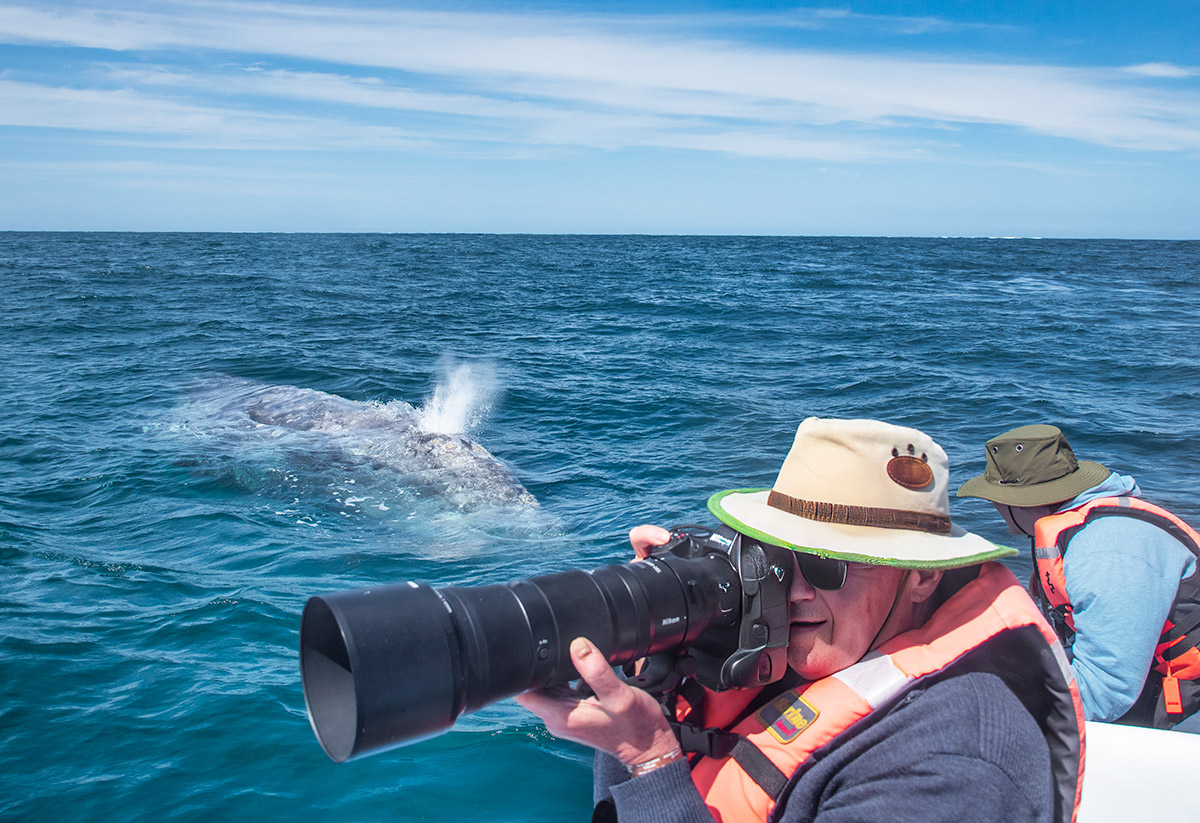 Photographing on whalewatching trip, Baja California Sur, Mexico.