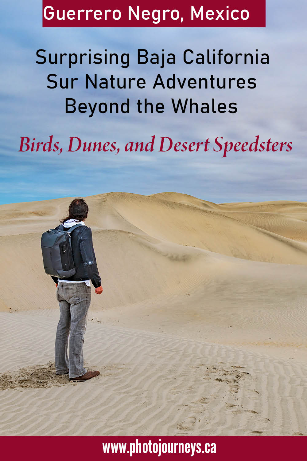 PIN for Nature Adventures beyond Whales in Guerrero Negro, Baja California Sur, Mexico