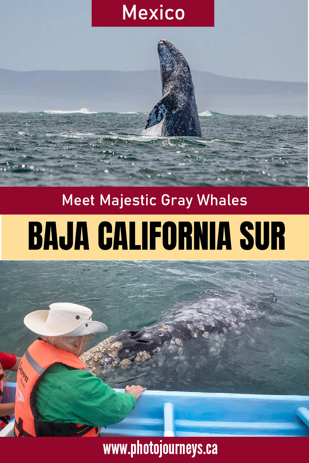 PIN for whalewatching in Baja California Sur, Mexico from Photojourneys.ca