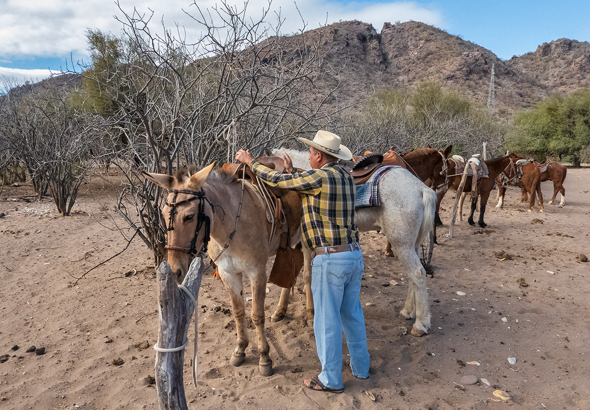 Horseback riding near Ligui, near Loreto, Mexico