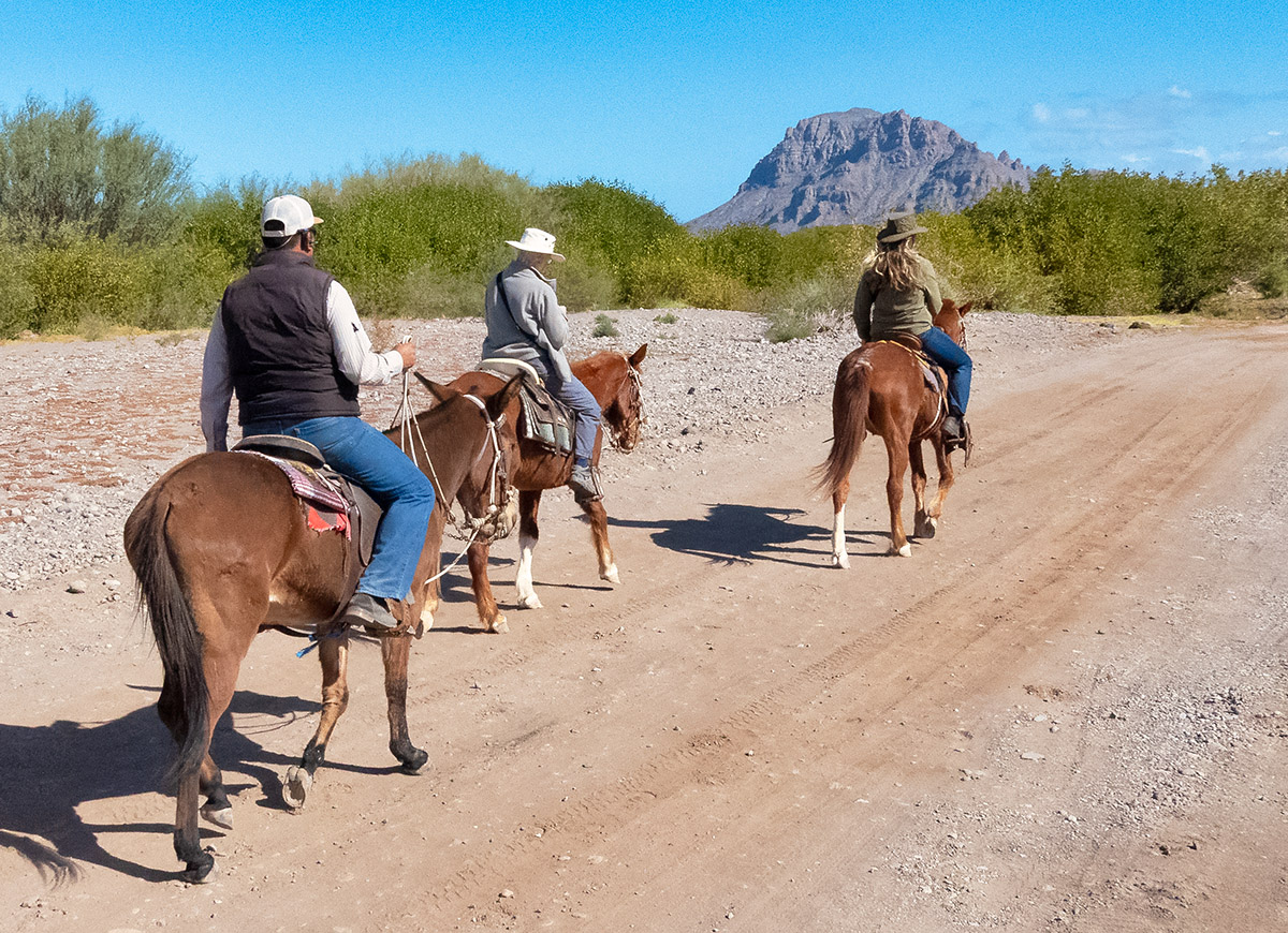 Horseback riding on beach near Loreto, Mexico.