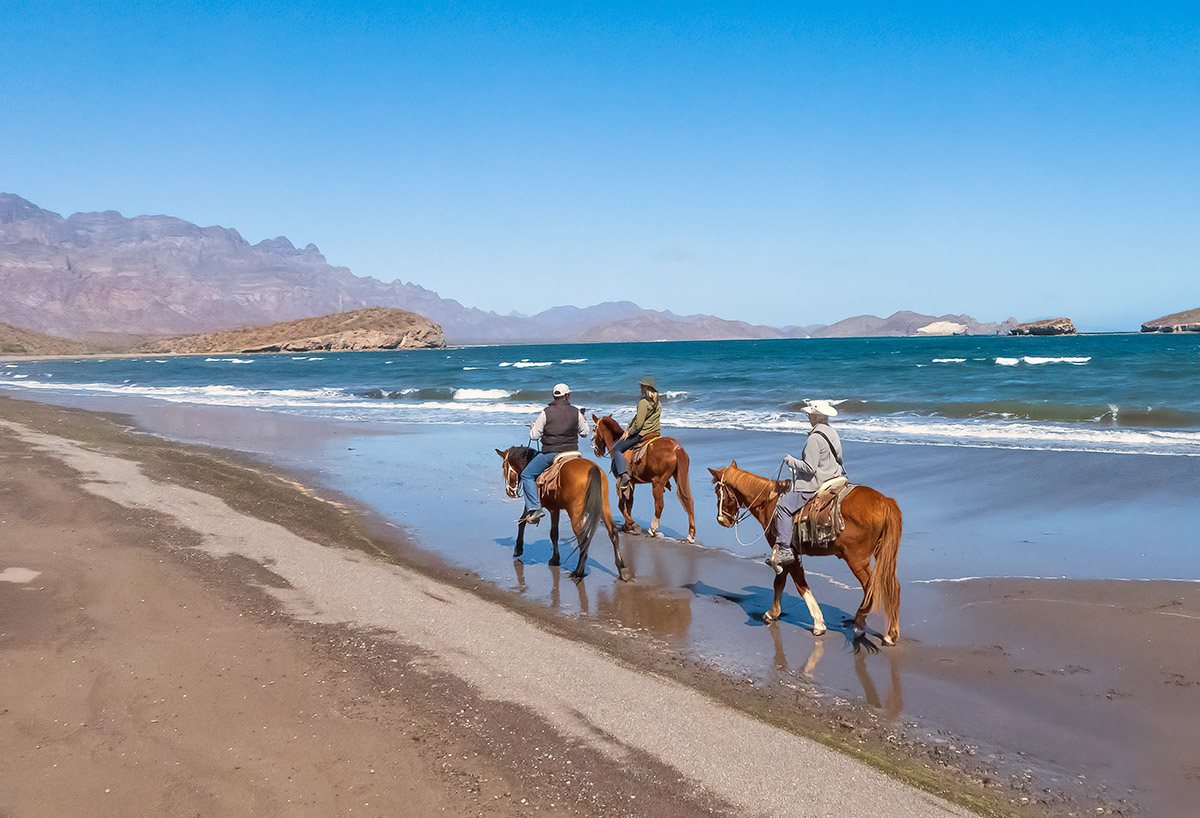 Horseback riding on beach near Loreto, Mexico.