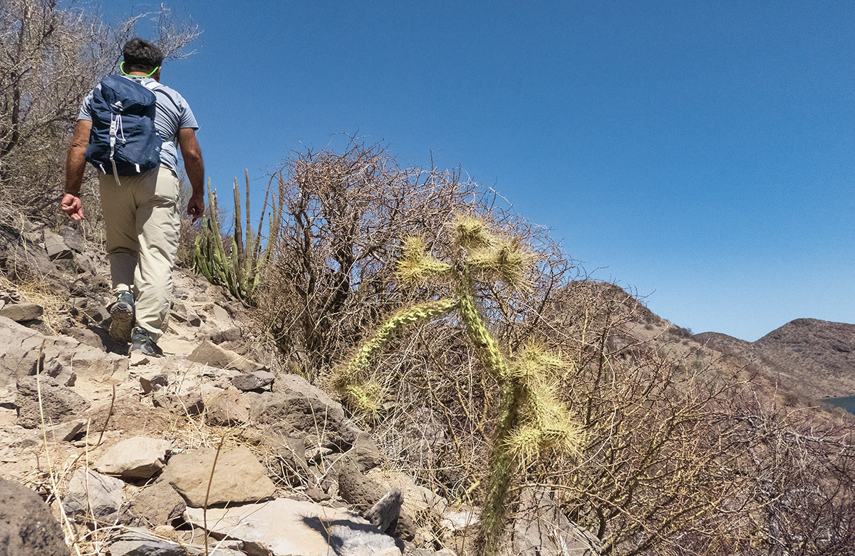 Hike in Parque Nacional Loreto II, near Loreto, Mexico