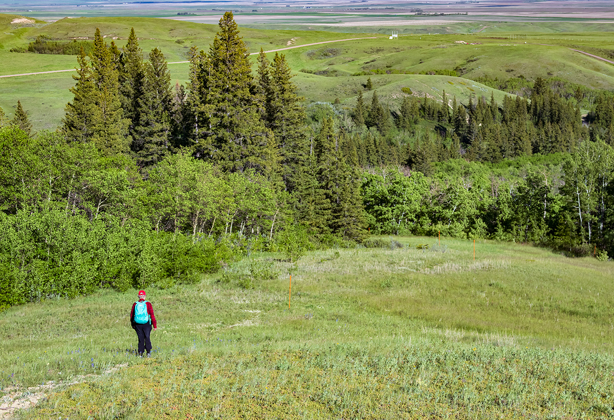 Pine Cree Regional Park, Saskatchewan