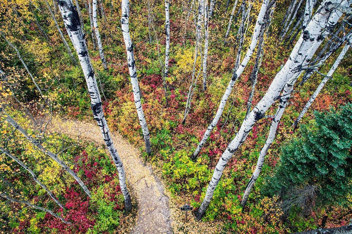 Prince Albert National Park, Saskatchewan