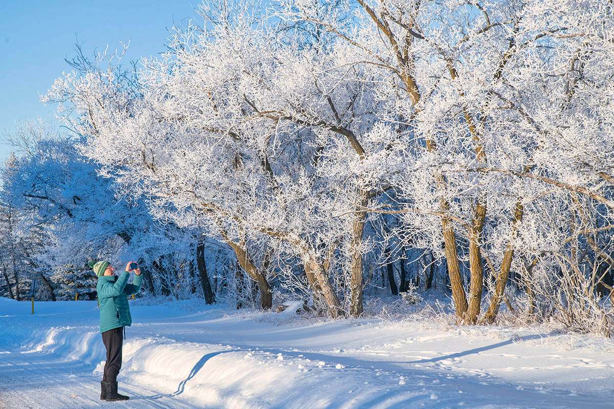 Frosty trees at Echo Valley Provincial Park, Saskatchewan.