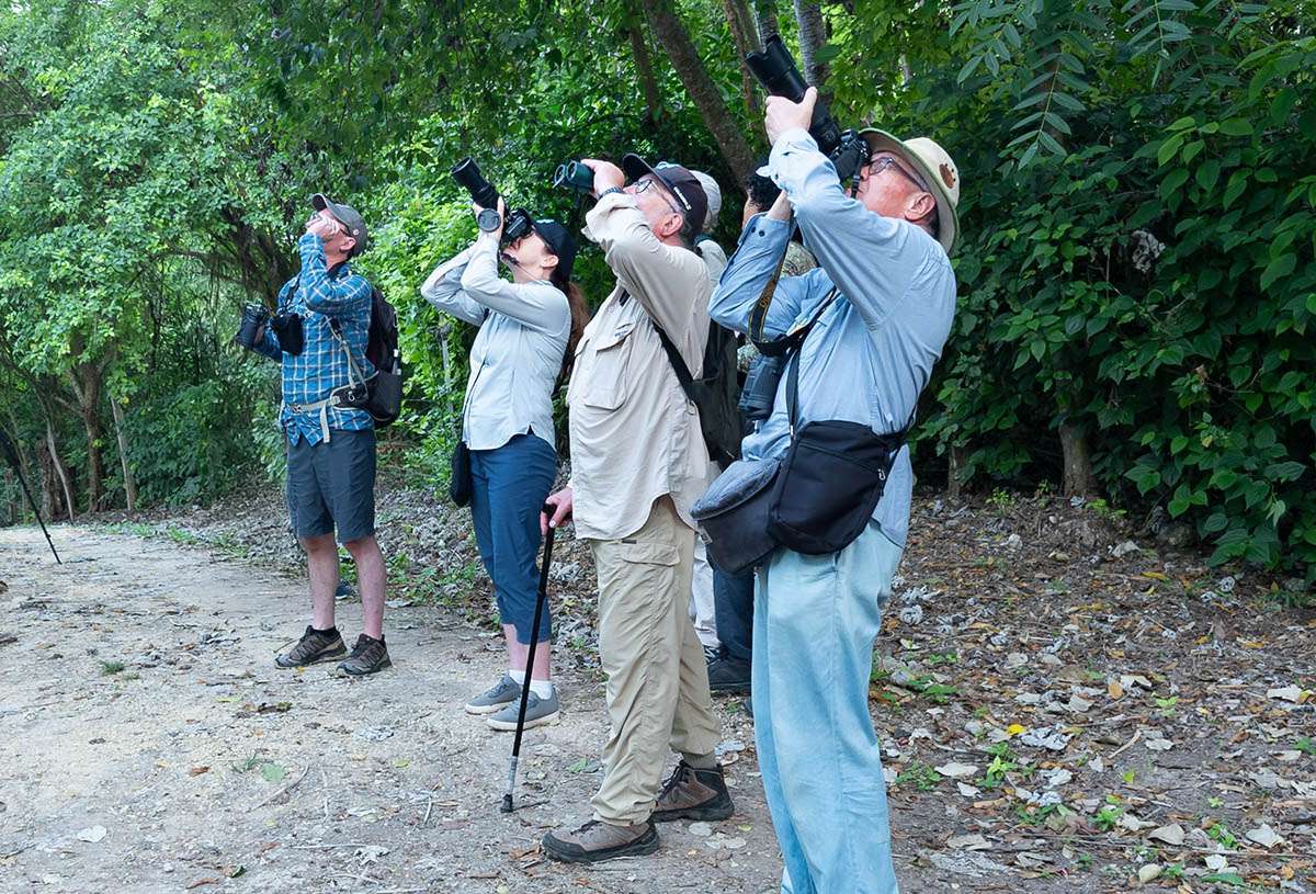 Birdwatching, Cartagena