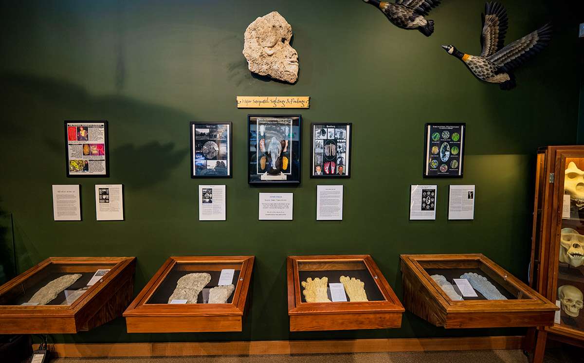 Sasquatch Museum, Harrison Hot Springs, BC