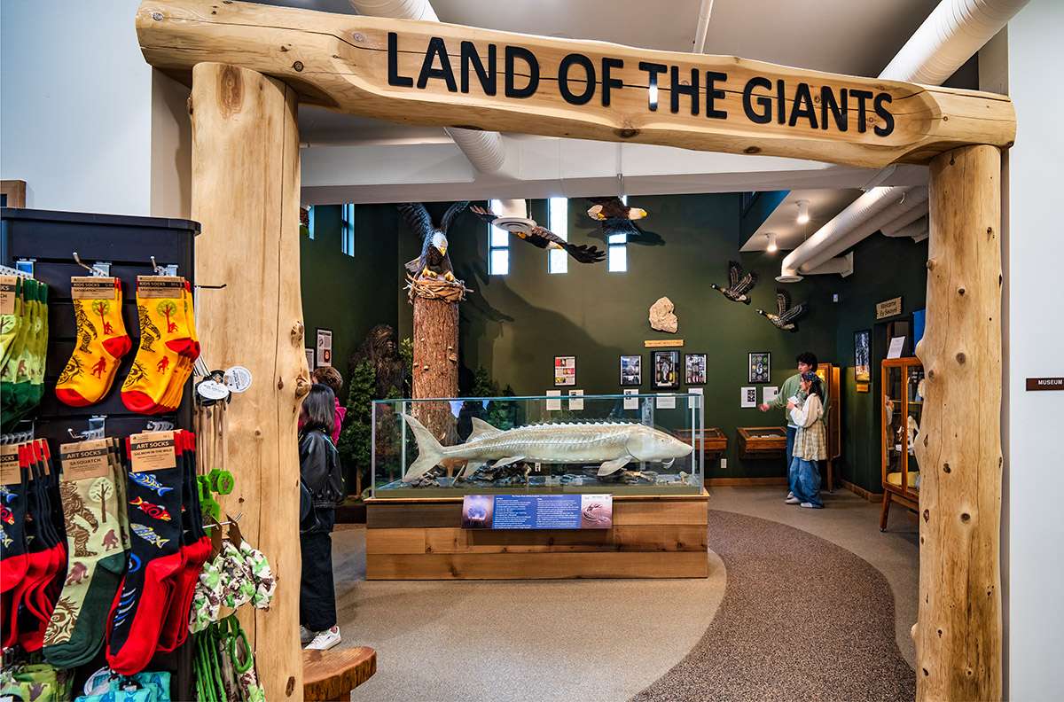 Sasquatch Museum, Harrison Hot Springs, BC. 