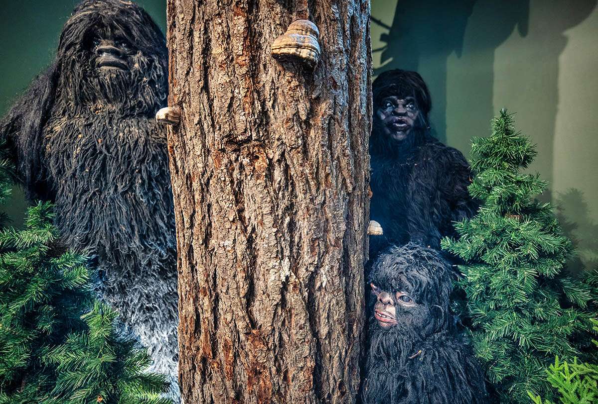 Sasquatch Museum, Harrison Hot Springs, BC