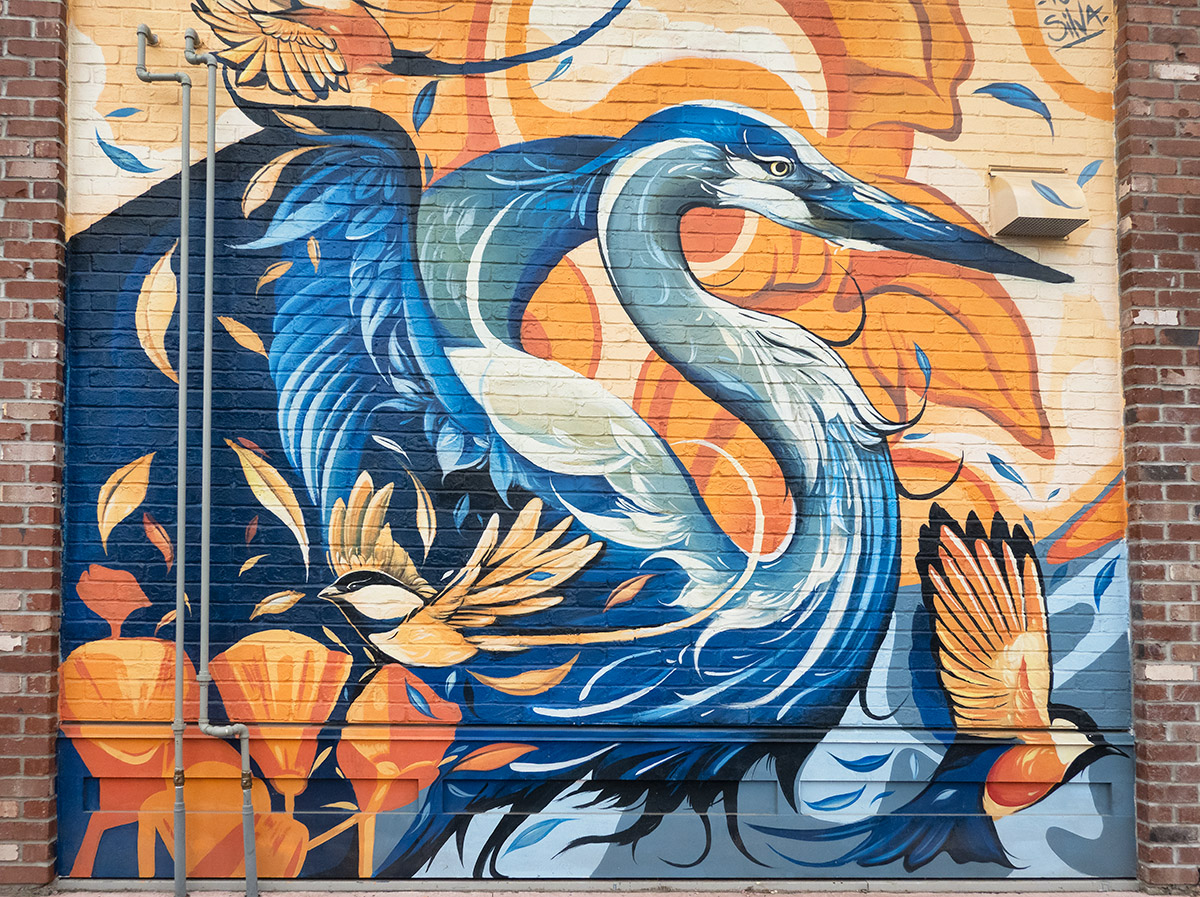 Mural in downtown Chilliwack, BC painted for Mural Festival.