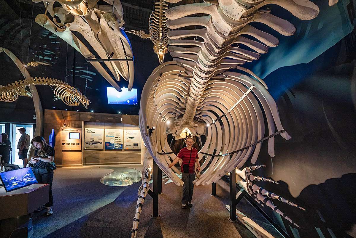 Marine Mammal Interpretation Centre, Tadoussac, Quebec.