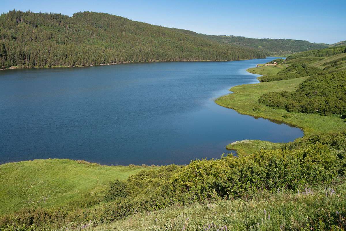 Reesor Lake, Cypress Hills, Alberta
