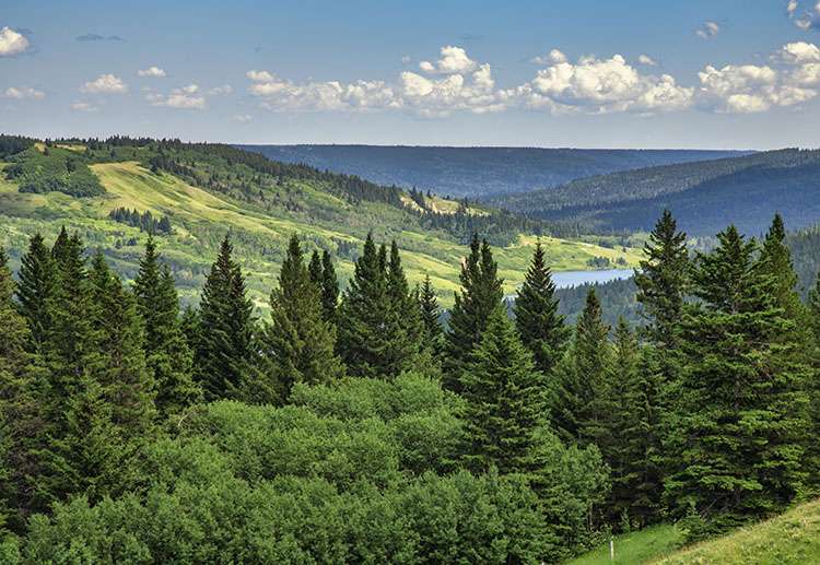 View over Reesor Lake, Alberta.