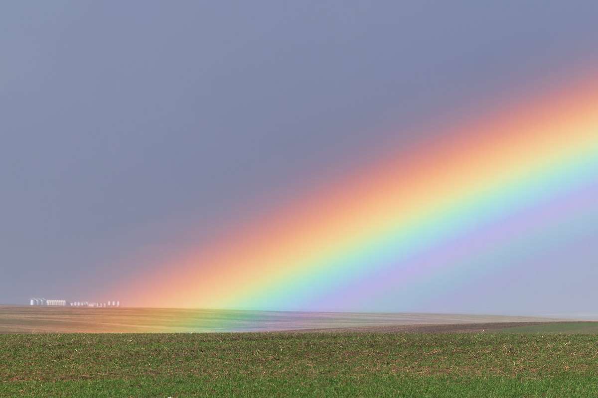 Rainbow Near Richlea, Saskatchewan.