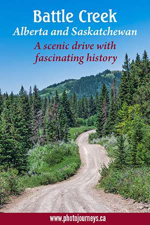 Battle Creek Road Trip pin