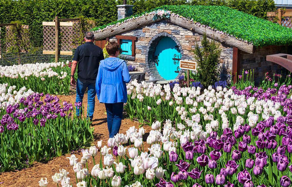Magic Garden, Taves Estate Cidery.