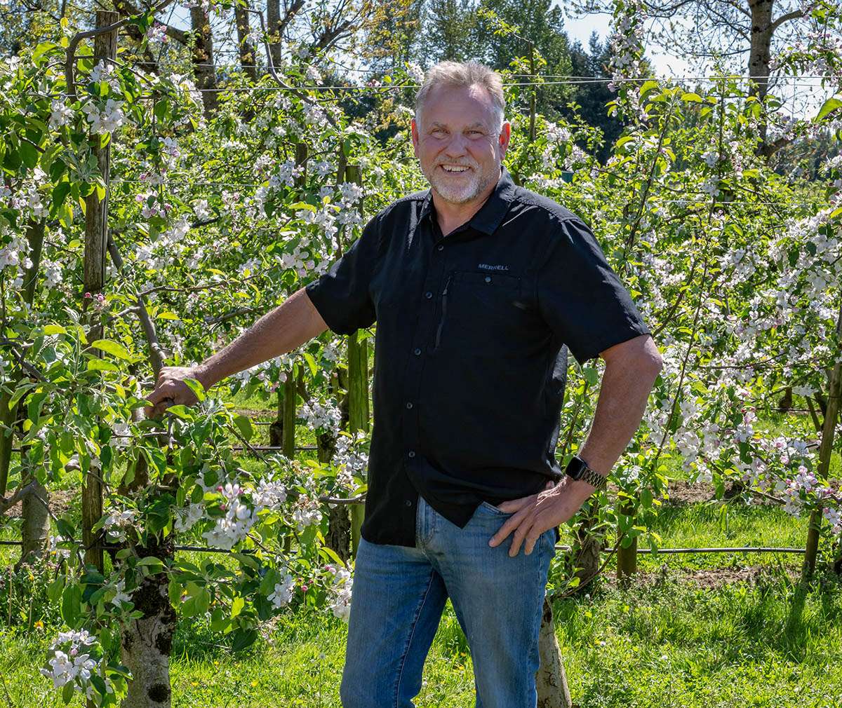 Taves apple orchard, Abbotsford, BC