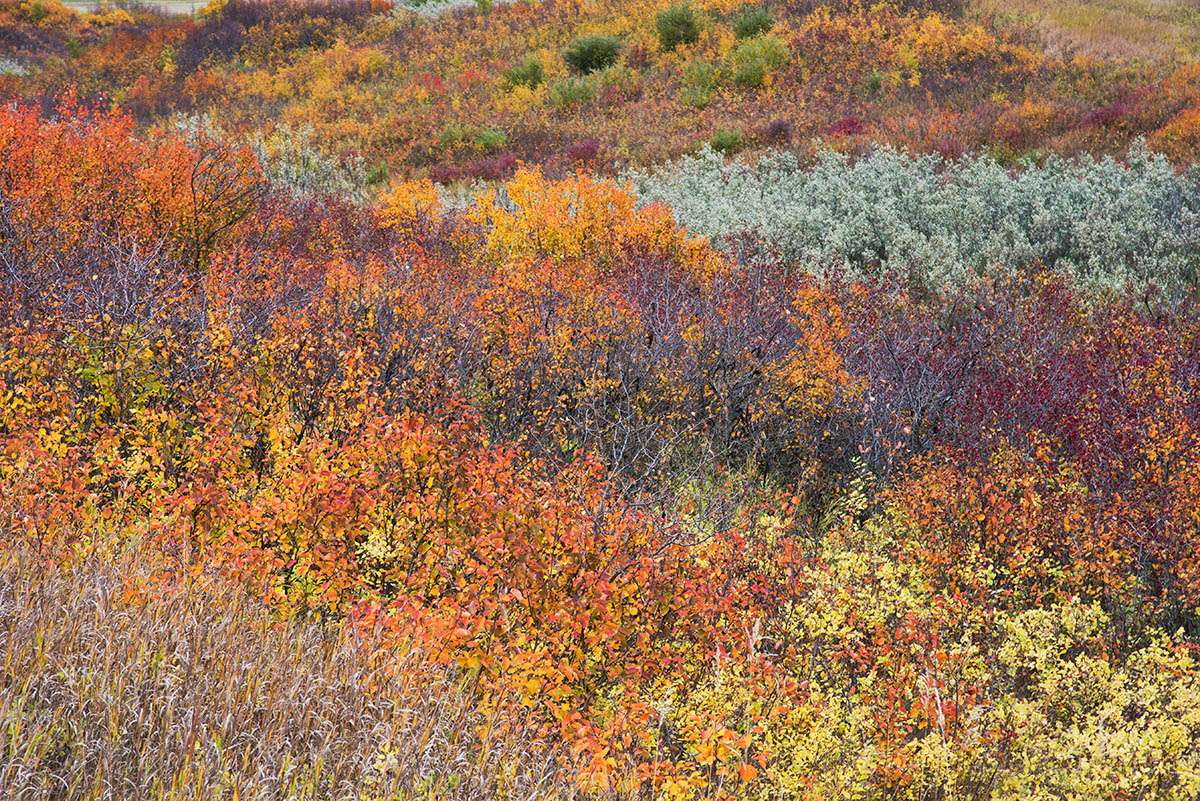 Fish Creek Valley, Saskatchewan.