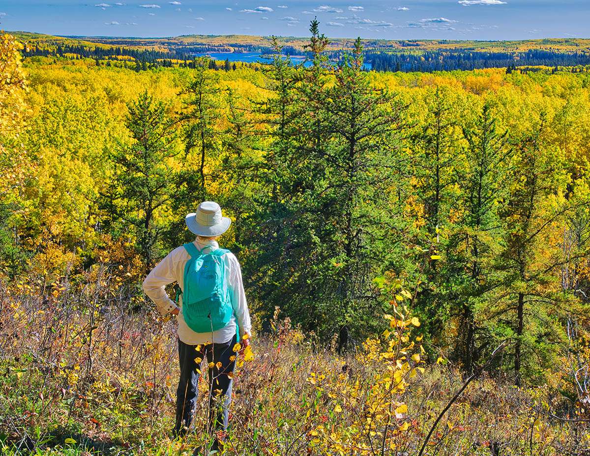 Hiking the Spruce River Highlands Trail in Prince Albert National Park. 