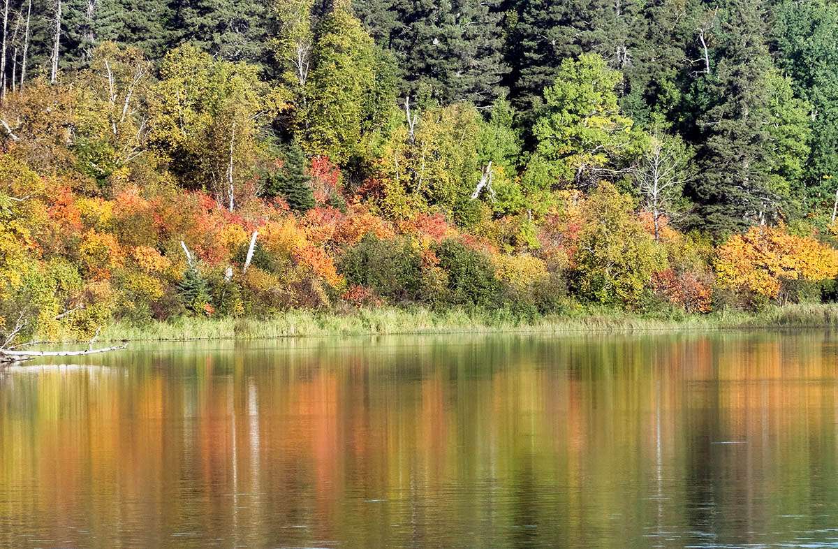 Riding Mountain National Park, Manitoba