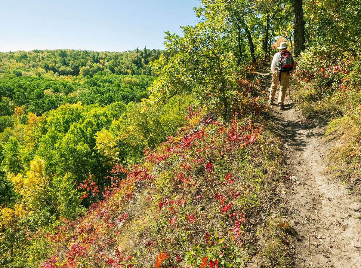Reeve's Ravine Trail, Riding Mountain National Park, Manitoba