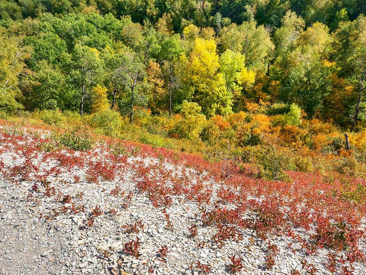 Riding Mountain National Park, Manitoba