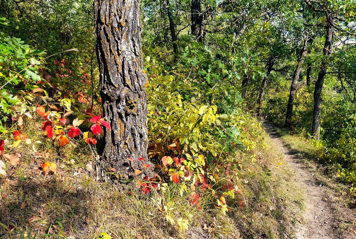 Riding Mountain National Park, Manitoba