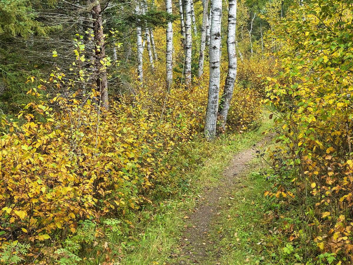 Riding Mountain National Park, Manitoba