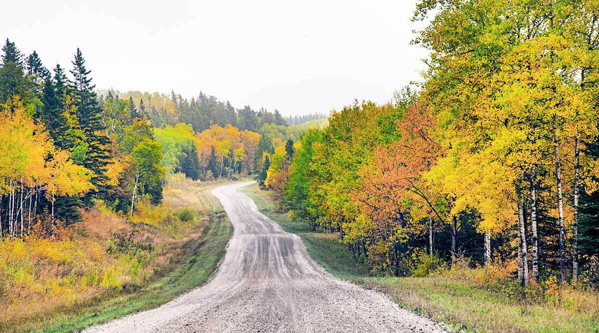 Road to Eastern Gate, Riding Mountain National Park, Manitoba