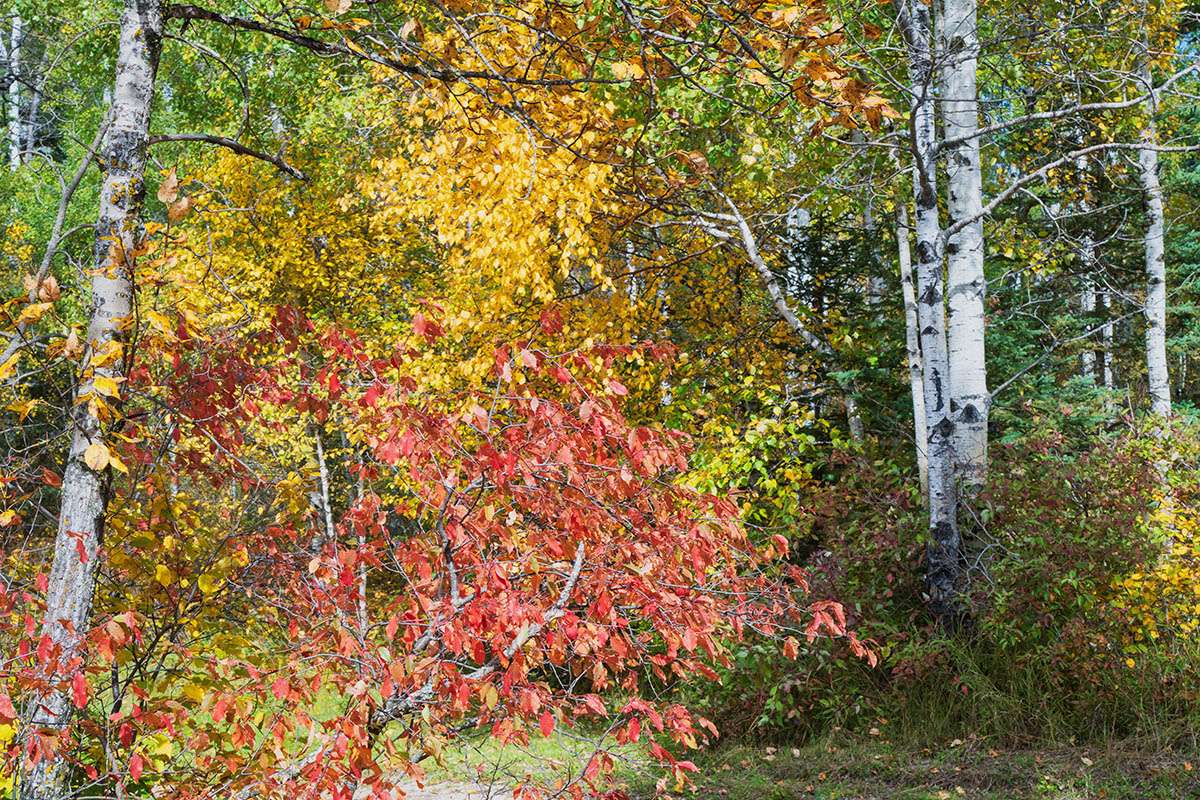 Riding Mountain National Park, Manitoba