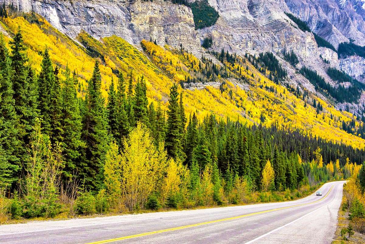Icefields Parkway, Banff Natiional Park