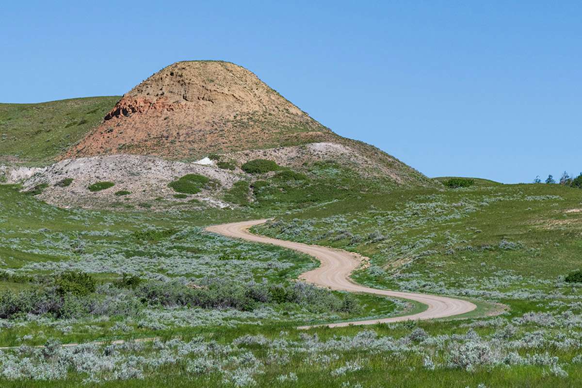 Chocolate Peak, Cypress Hills, Saskatchewan.